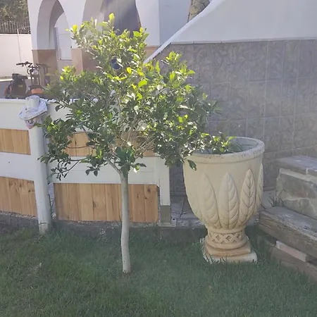 Camping Bungalows La Abuelita Barbate